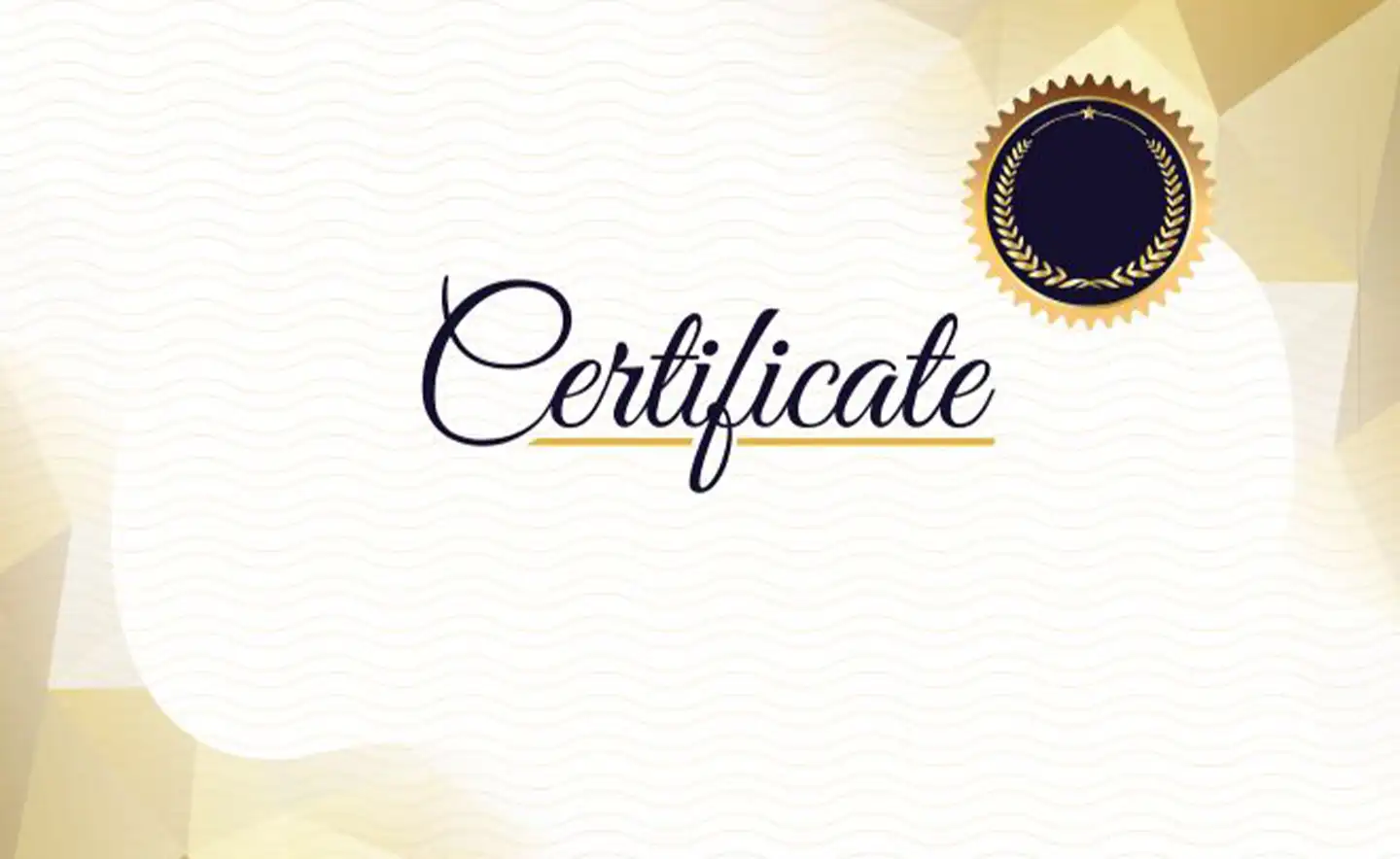 Certificate Freelance Digital Marketer In Malappuram